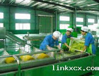 四川中央厨房设备厂家详解中央厨房的分区要自己设计注意事项