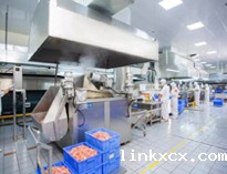 成都中央厨房设备厂家和你聊聊中央厨房工程解决方案应该是怎样的